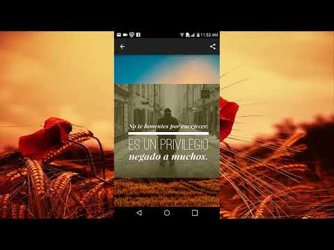 Dichos de la Vida:Frases Sabias sobre la Vida Video