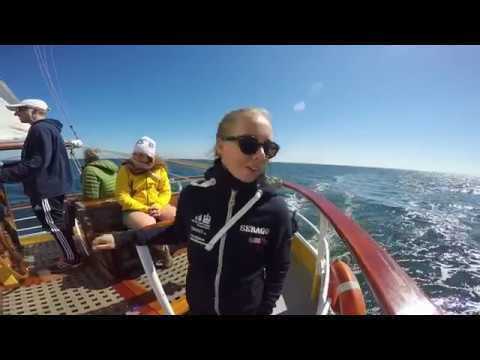 Tall Ships Races 2017 - Halmstad to Kotka onboard Morgenster