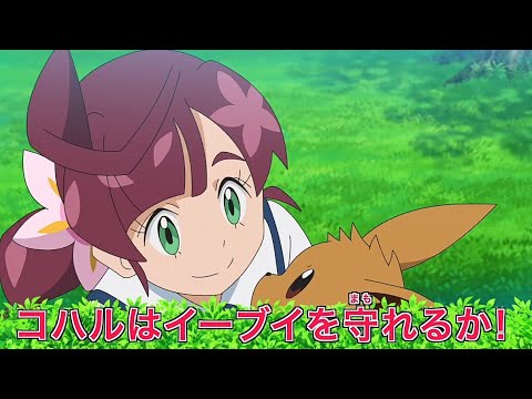 Koharu Catches Eevee | Pokemon Sword And Sheild Official Episode 49 | Pokemon Journeys Episode 48