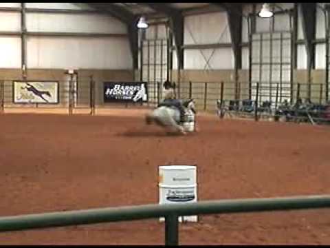 6 Miss Fortunes Fool 2007 BFA World Champion