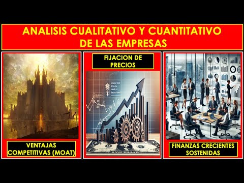 Análisis cualitativo y cuantitativo de las empresas