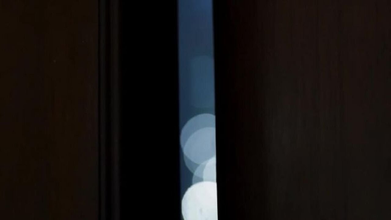 Natale alla Casa Bianca, ecco le decorazioni scelte da Melania Trump