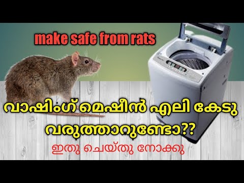 YouTube video about: How to keep rats away from washing machine?
