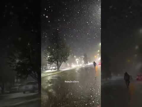 Caída de nieve 🌨️ en Malargüe, Mendoza 😍🎥 05/09/26 #nieve
