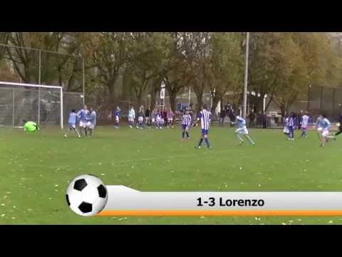 Samenvatting SVS D1 -  Hermes DVS D1