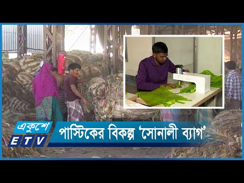 প্লাস্টিকের বিকল্প-পাটের তৈরি ‘সোনালী ব্যাগ’ | ETV News