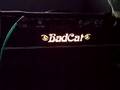 Bad Cat Cub II Amplifier w/ Higway One Texas Tele ...