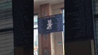 Download lagu sushi place moments // the chef sushi in langley bc, aug/23 mp3