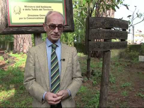 Italiens Müll stinkt zum Himmel