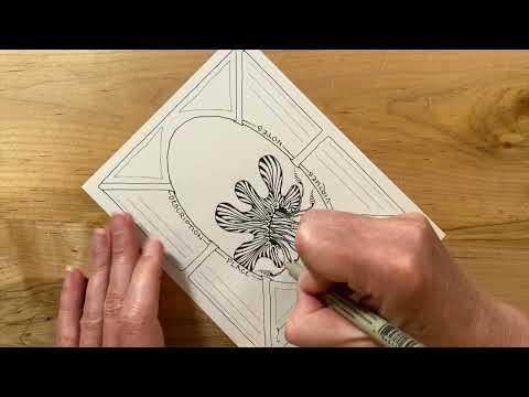 Zentangle Project Pack No.21 - 第５天［中文CC字幕版］