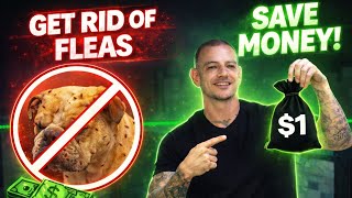 Cheapest Heart Worm + Flea & Tick Prevention! ONLY $1 a MONT