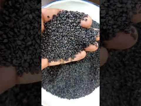 99.95% Z Black Sesame Seed