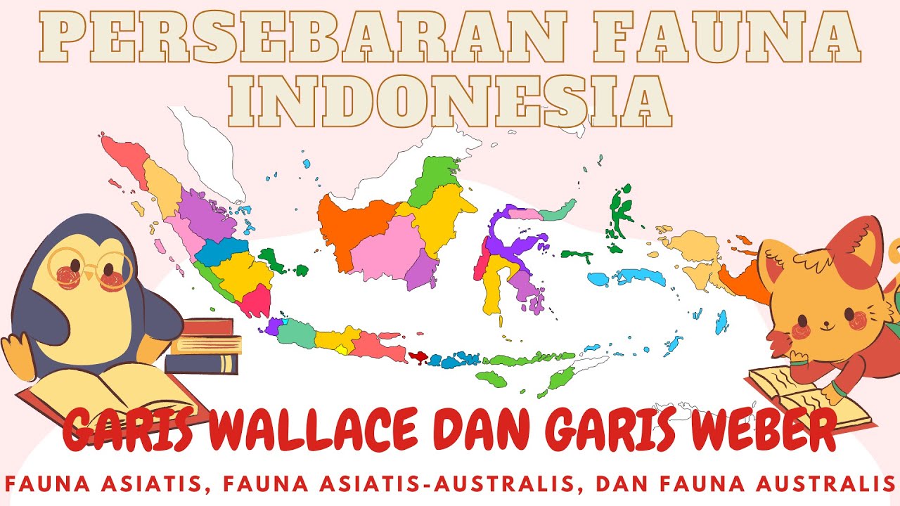 Persebaran Fauna di Indonesia - Garis Wallace dan Weber (Asiatis, Peralihan, dan Australis)