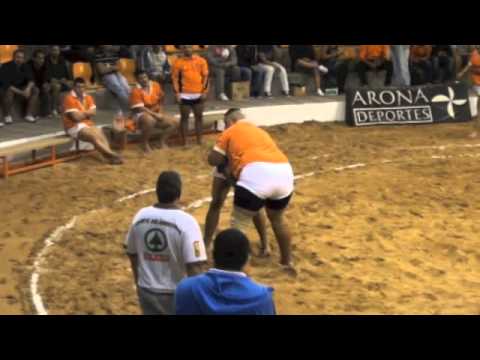 CHIJAFE -BRISAS DEL TEIDE