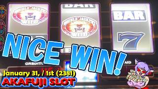 I Don't Lose! Lion's Share Slot Machine