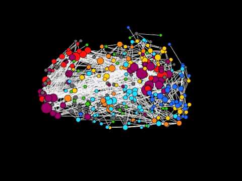 Inside the networked brain