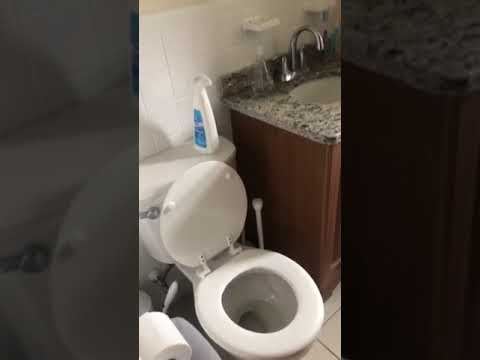 2 FREE MONTHs Coolidge Corner  Renovated Spacious and very sunny top floor  2 bed, HT and HW inc  June or July property video