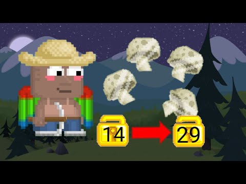 Massing 2000 Mushroom Seeds | The Series: Spam to Pro Account | Episode 4 : ( Blueberry Crisis)