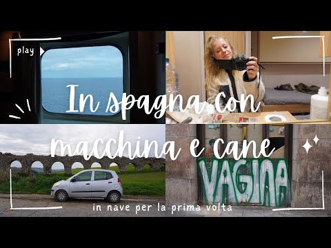 Viaggio dall'Italia alla Spagna con Macchina, Nave & Cane 🐕