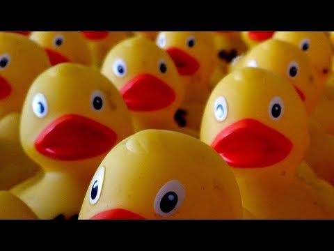 Gelbe Enten Flut - Backhausfest Wendershausen Tann