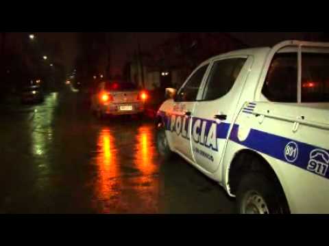 Caballo muere en accidente con autos