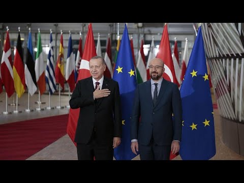 إردوغان يطالب الناتو والاتحاد الأوروبي بتقديم "دعم ملموس" لتركيا …