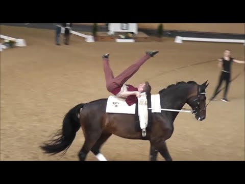 Bayerische Meisterschaft 2024 - Einzelvoltigieren- Sebastian Renkl