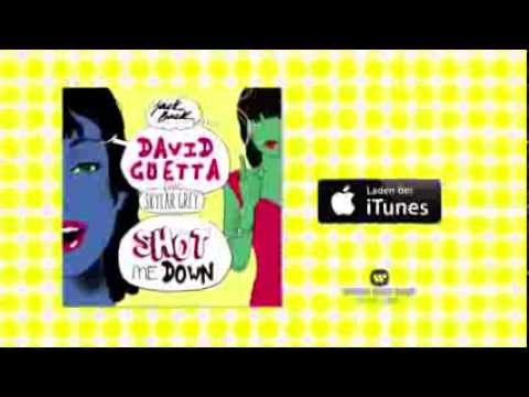 David Guetta feat. Skylar Grey - Shot Me Down (Spot)
