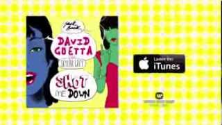 David Guetta feat. Skylar Grey - Shot Me Down (Spot)