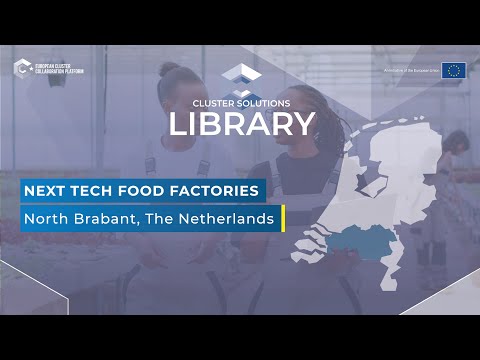 Cluster Solutions Library: NTFF facilitating Twin Transition in North Brabant