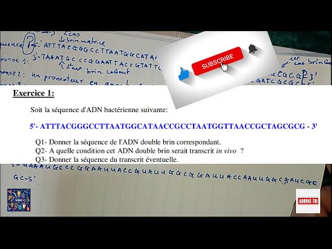 EXERCICE CORRIGE BIOLOGIE MOLECULAIRE/ REPLICATION ET TRANSCRIPTION D'ADN/EXAMENS/CONCOURS