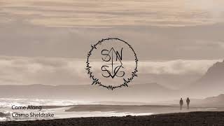 Cosmo Sheldrake - Come Along