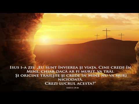 Luni 17 Aprilie 2017 AM - Radu Oprea