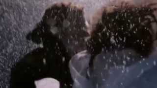 Barry Manilow - Mandy