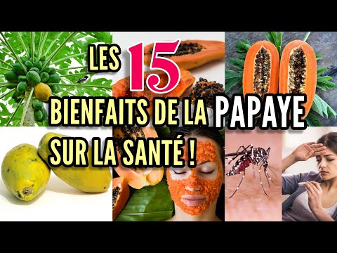 Les 15 bienfaits de la papaye pour votre santé