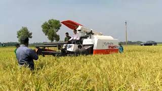 কম্বাইন হারভেস্টার জনপ্রিয় করে তুলতে কৃষকদের উদ্ভোদ্ধ করতে উপ-পরিচালক, খামারবাড়ি, মৌলভীবাজার মহোদয়