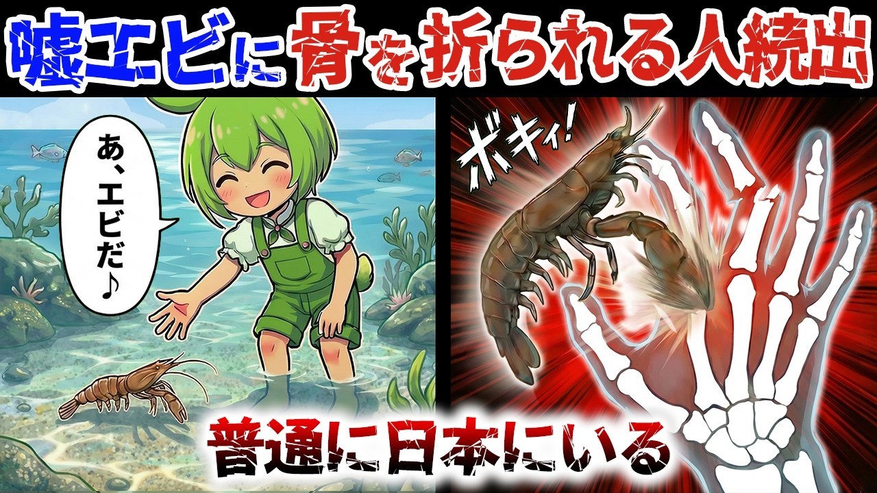 【エビの皮をかぶった凶悪犯】サメにも勝てると噂のたった18cmのニセエビ【ずんだもん解説】