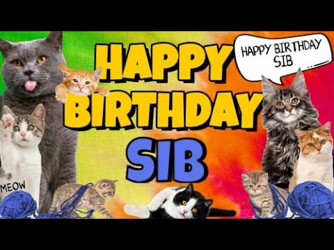 Happy Birthday Sib! Crazy Cats Say Happy Birthday Sib (Very Funny)