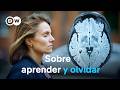 Nuestra Memoria Un Sistema De Almacenamiento Fenomenal DW Documental