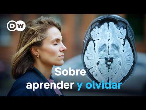Nuestra memoria - Un sistema de almacenamiento fenomenal | DW Documental