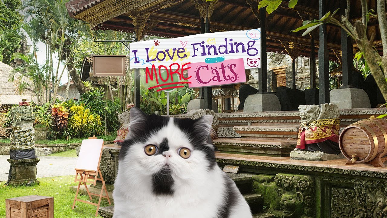 Bande-annonce I Love Finding MORE Cats! – Collector&rsquo;s Edition