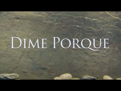 Bachata Heightz - Dime Porque (Official Music Video)