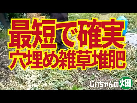 雑草をリサイクルするにはどうすればいいですか？何か我慢したり恐れたりすることはありますか？  庭園