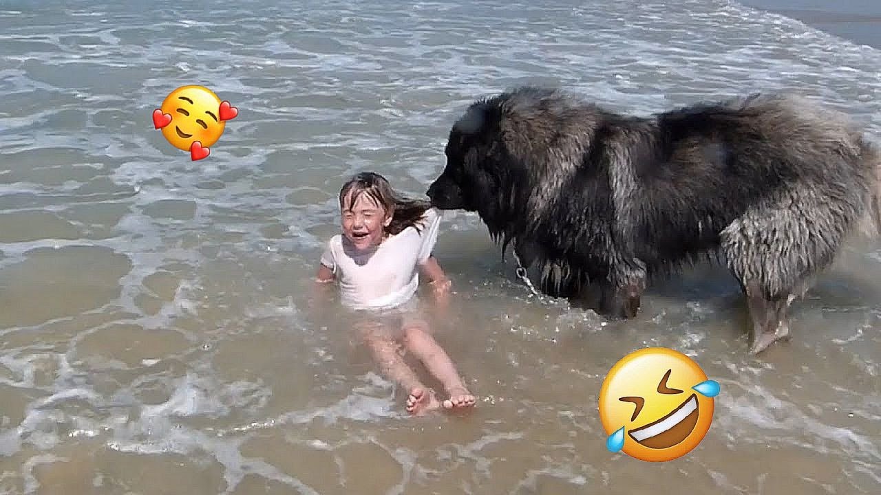 New Funny Animals 😂 Funniest Cats and Dogs Videos 😺🐶 2024 part 31