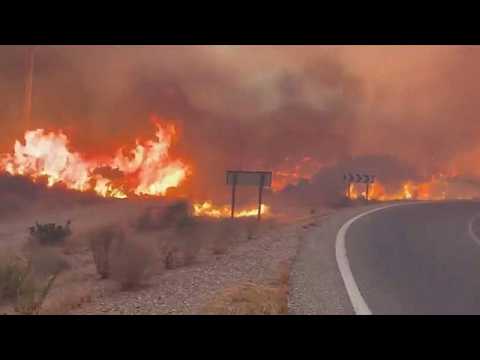 Waldbrand wird zur Todesfalle: 11 Menschen kommen in Spanien ums Leben