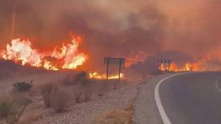 Waldbrand wird zur Todesfalle: 11 Menschen kommen in Spanien ums Leben