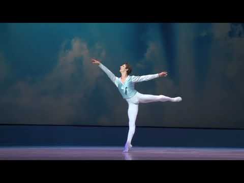 Tchaikovsky Pas de deux - Nina Kaptsova, Semyon Chudin