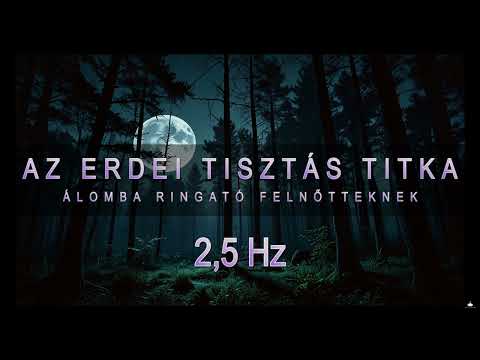 🎧Az erdei tisztás titka - Álomba ringató felnőtteknek