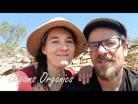 ANNA AMIGÓ - Lligams Orgànics (Oficial) #lligamsorganics #composicio  #esplugadefrancoli