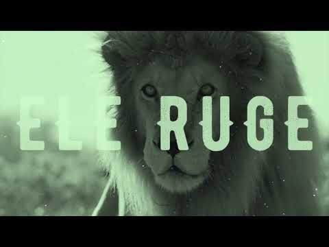 Deus não está morto/Como um leão- Shekinah feat. Tati Teixeira e Marcus Salles- Projeto Vida Nova